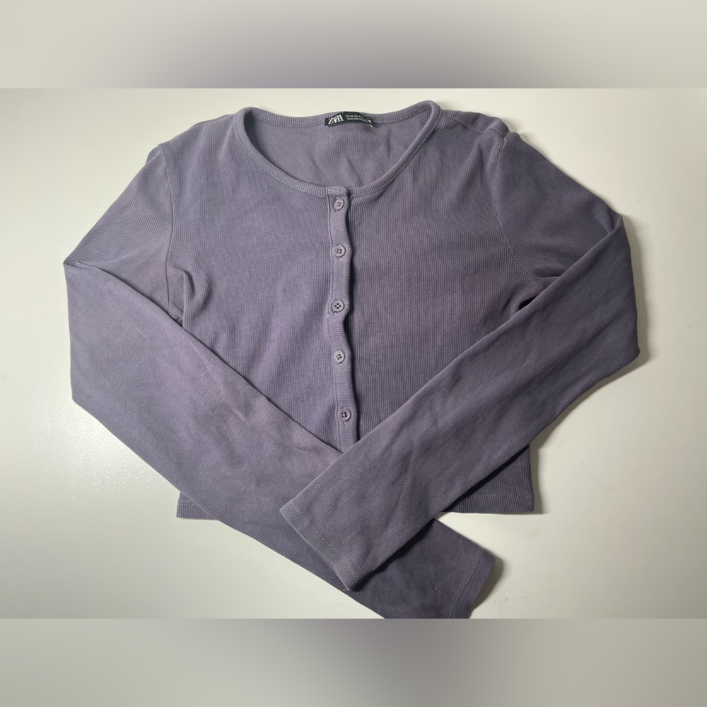 Zara Purple Long Sleeves Top